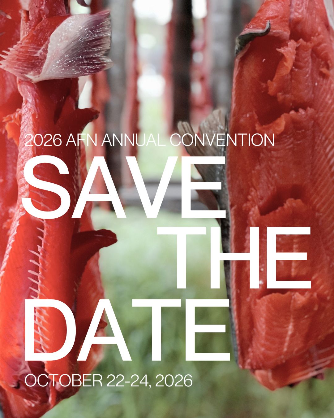 Featured image for “AFN Now Accepting Nominations for 2026 President’s Awards Deadline: August 14”