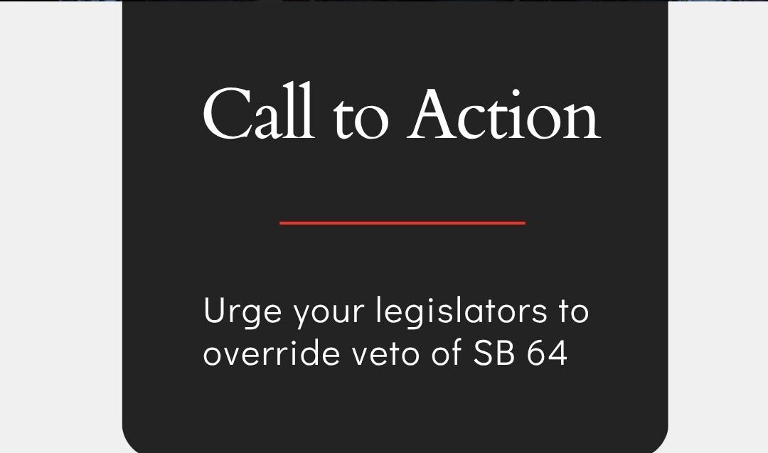 Featured image for “Call for Action: Alaska Federation of Natives Responds to Governor’s Veto of Elections Bill and Urges Legislators to Override Veto”